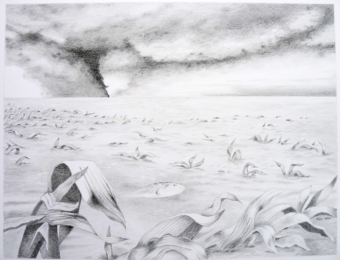 A Flood and A Fire