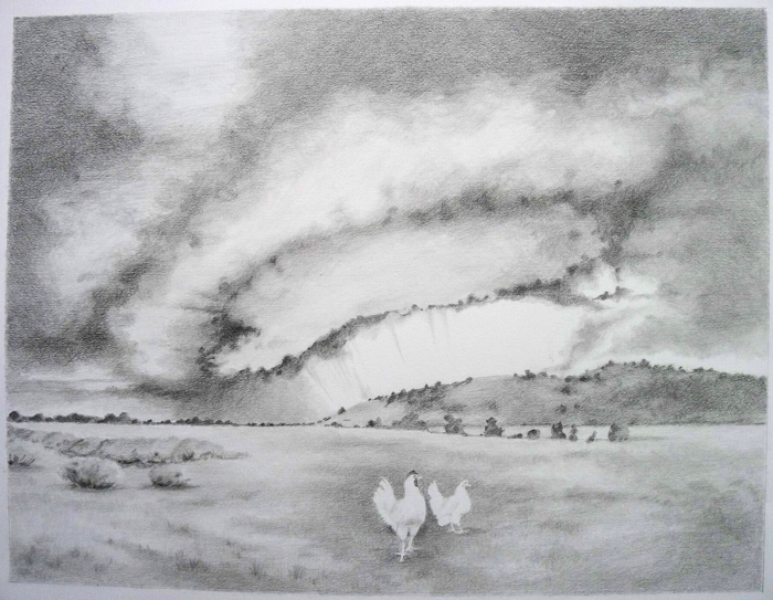 Supercell with Chickens